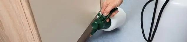 Bed bug exterminator treating baseboards and cracks with targeted spray in Raleigh, NC
