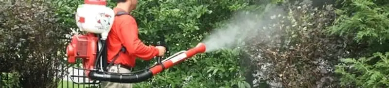 Mosquito control technician fogging shrubs and landscaping for mosquito treatment in Raleigh, NC