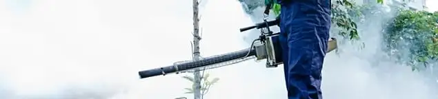 Pest control technician fogging an outdoor area for insect control in Raleigh, NC