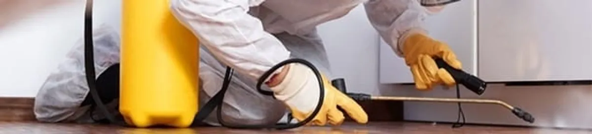 Roach exterminator treating cracks and crevices along kitchen baseboards in Raleigh, NC