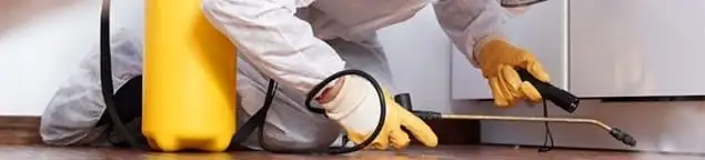 Roach exterminator treating cracks and crevices along kitchen baseboards in Raleigh, NC
