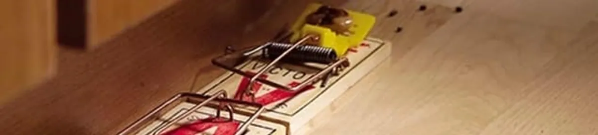 Rodent trap set indoors for rodent control and prevention in Raleigh, NC